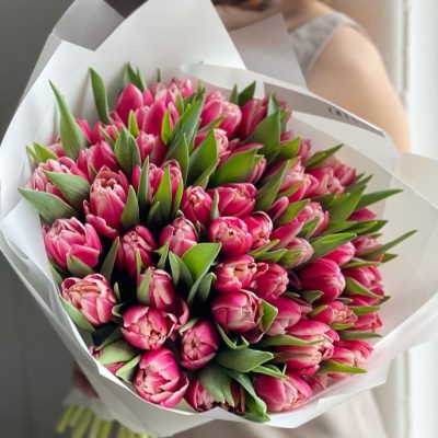 Tulipany pełne