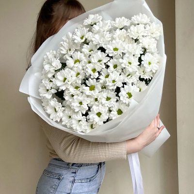 Białe chryzantemy